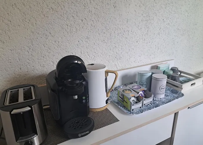 Avec Jardin A 5 Min Du Parc Walibi * Roquefort