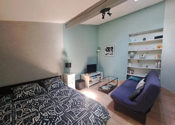 Avec Jardin A 5 Min Du Parc Walibi Apartman Roquefort